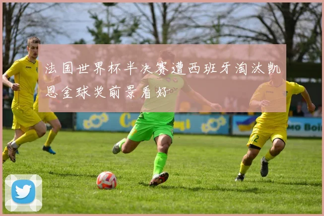 法国世界杯半决赛遭西班牙淘汰凯恩金球奖前景看好